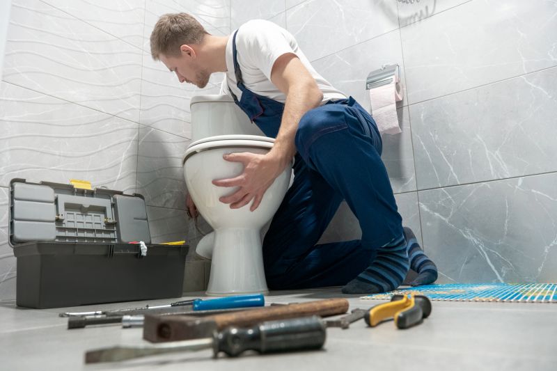 Plumber Fixing Toilet
